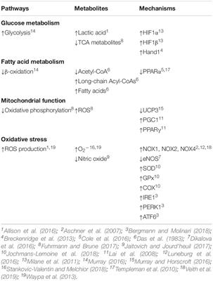 Gestational Hypoxia and Programing of Lung Metabolism